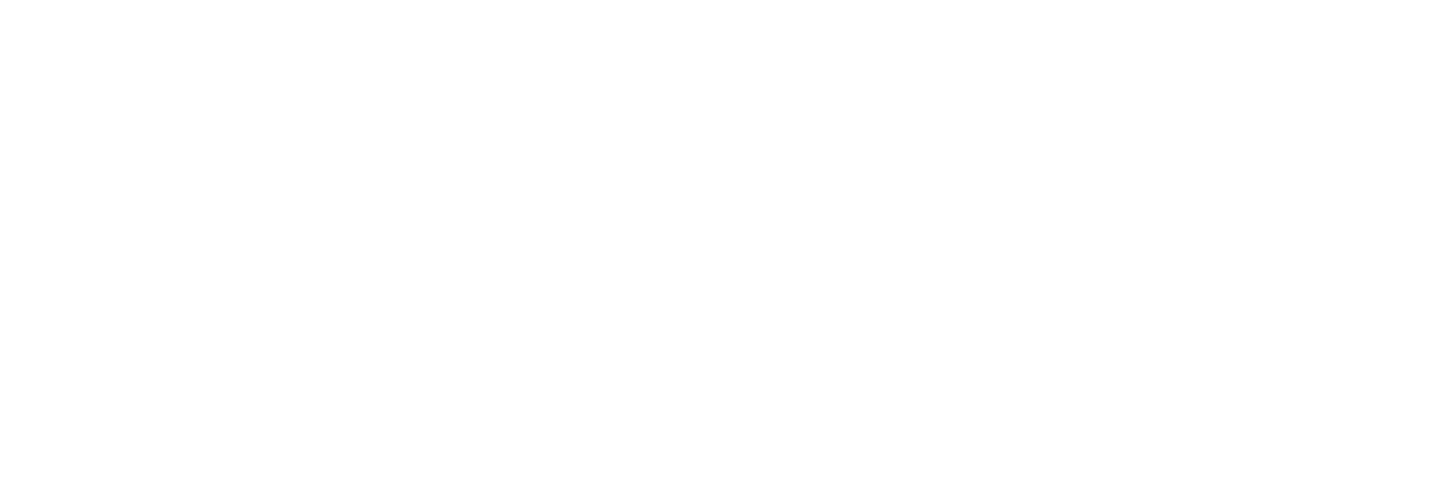 Toronto Review About