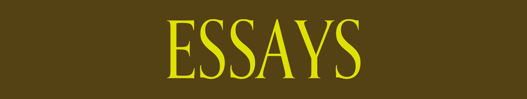 More about essays